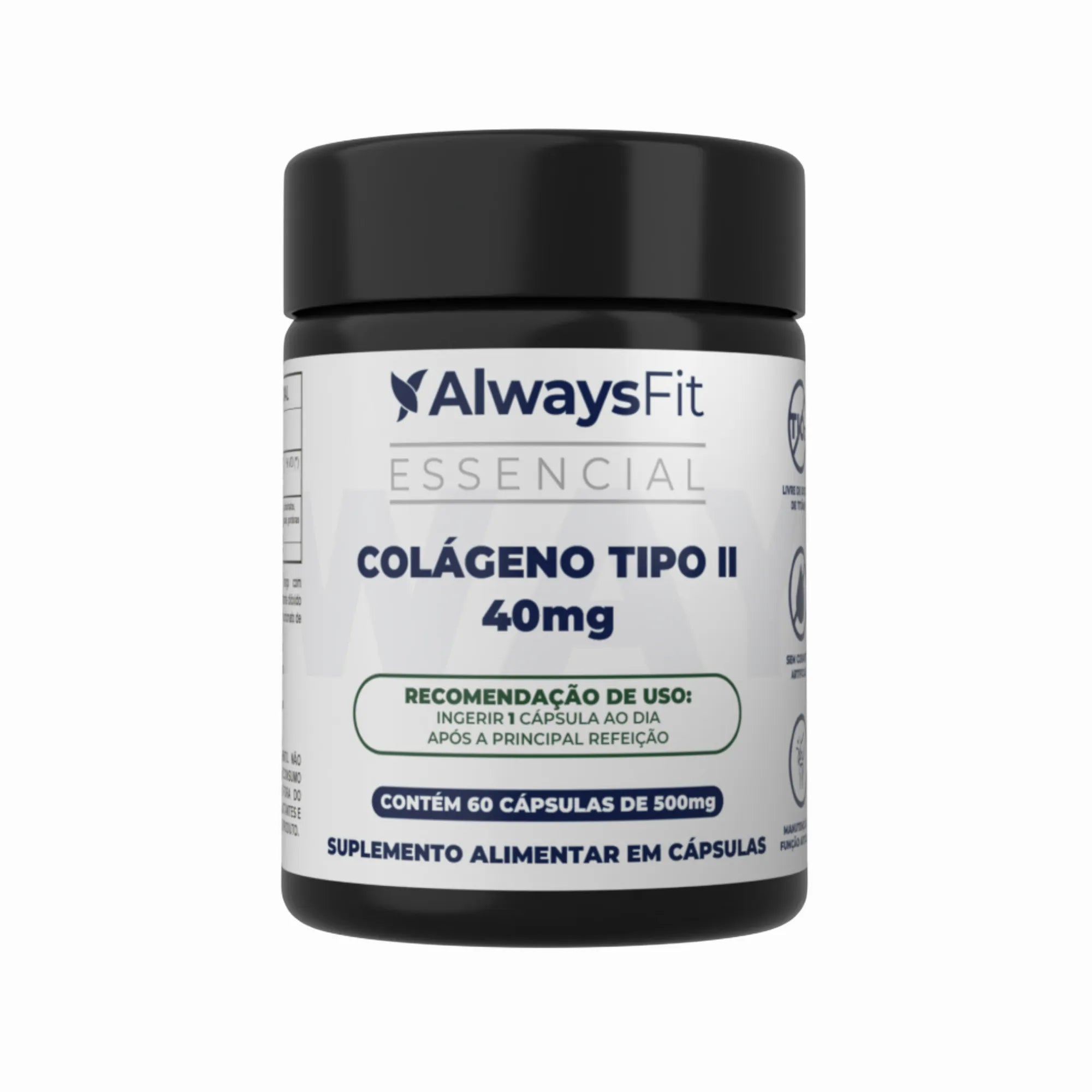 Colágeno Tipo II 40mg - 60 Cápsulas