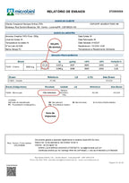 Creatina Monohidratada 100% Pura 250g